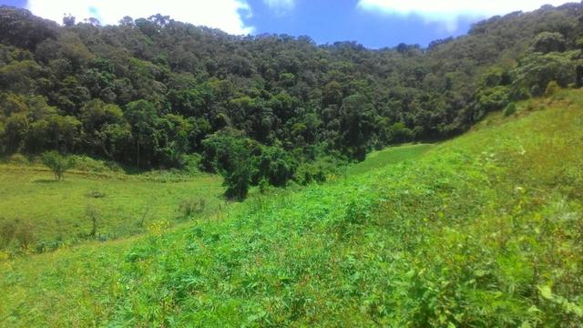 Lindo terreno de 2,8 hectares em Delfim Moreira Sul de Minas Gerais - Foto 6