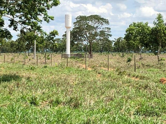 Fazenda 1.163 hectares em Livramento MT - Foto 10