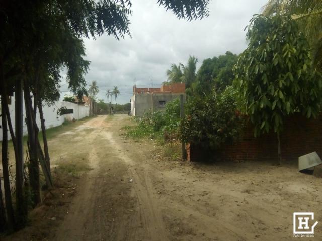 Sítio à venda - no mosqueiro - Foto 7