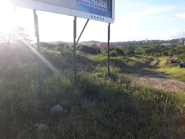 Ótima área com 4.4 hectares, em Caruaru-PE. Vende-se completa ou em partes.Aceita trocas! - Foto 4