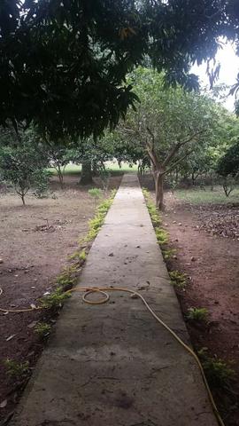 Sítio 9.000 m² com 2 casas - piscina - área social - todo murado - Itaguaí - Foto 3