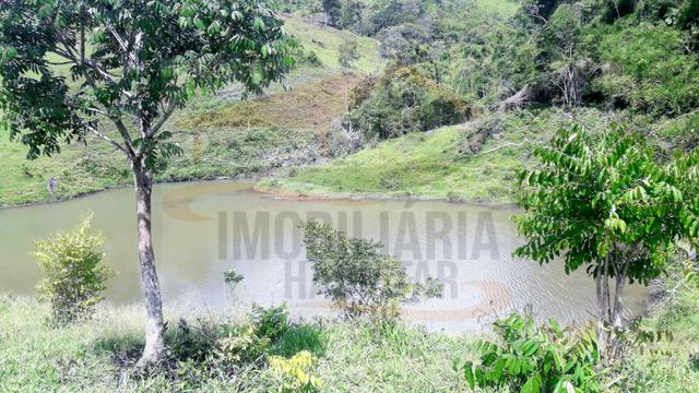 Fazenda de 100 alqueires paulistas, Campina Grande do Sul / PR - Foto 19
