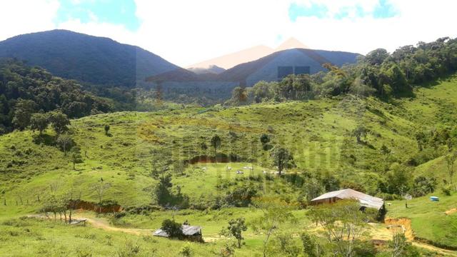 Fazenda de 100 alqueires paulistas, Campina Grande do Sul / PR - Foto 2