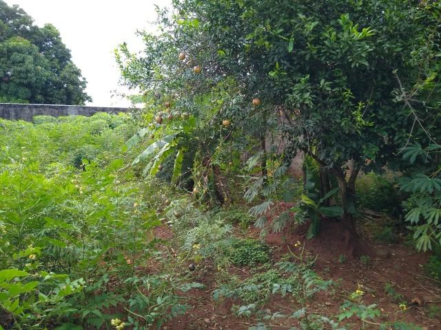 Terreno à venda - 360 m² - Foto 4