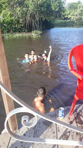 Alugo sítio/chácara para passar um dia diferente com seus amigos e familiares - Foto 9
