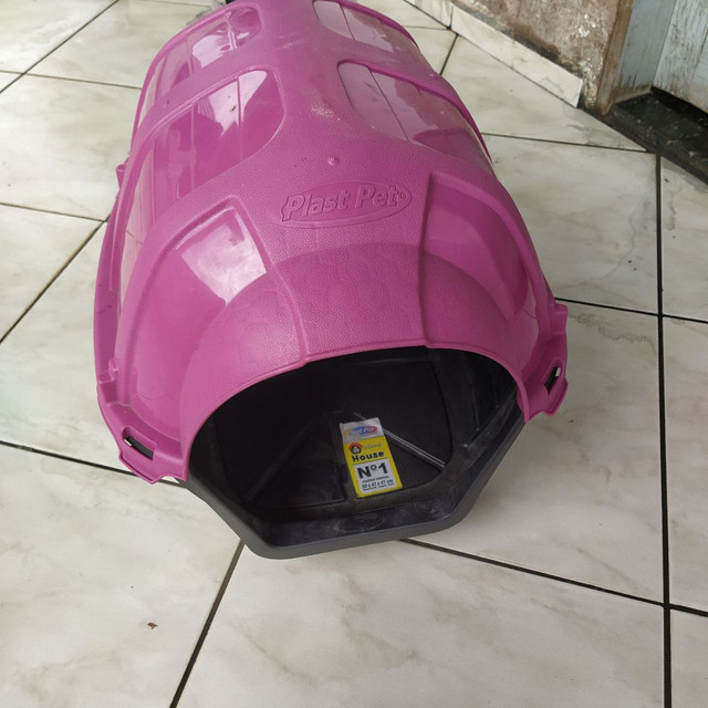Casinha de cachorro