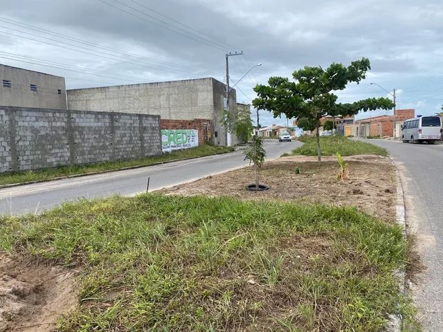 Oportunidade Terreno Na Av do Albano franco - Foto 4