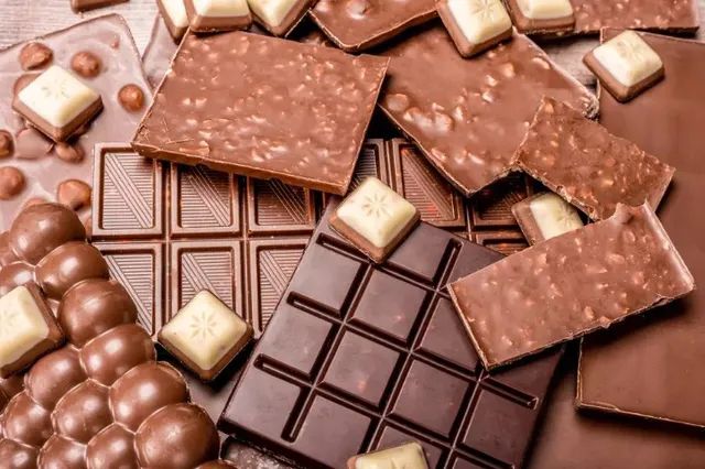 Fantástica Fábrica de chocolate à venda! Exportação internacional!