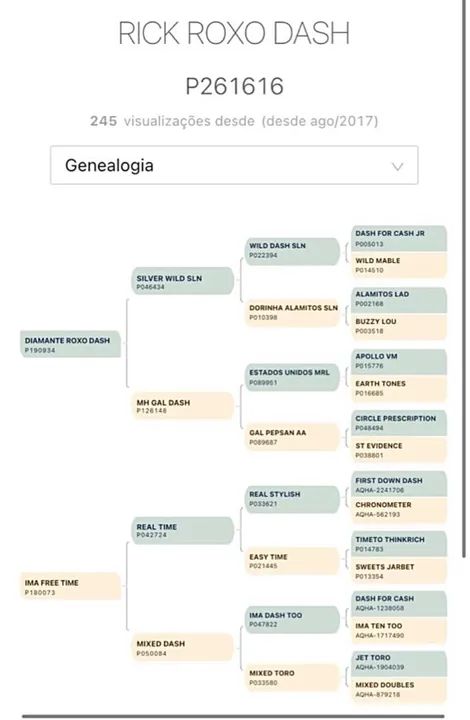 Cavalo Quarto de Milha Puro - Foto 5