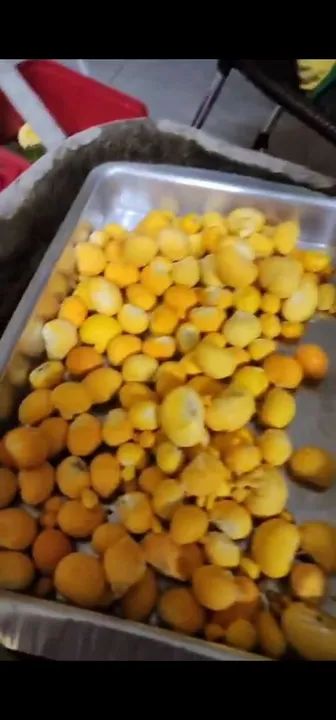 Pequi fresco em embalados - Foto 4