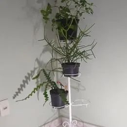 Tripé, base, vaso, suporte