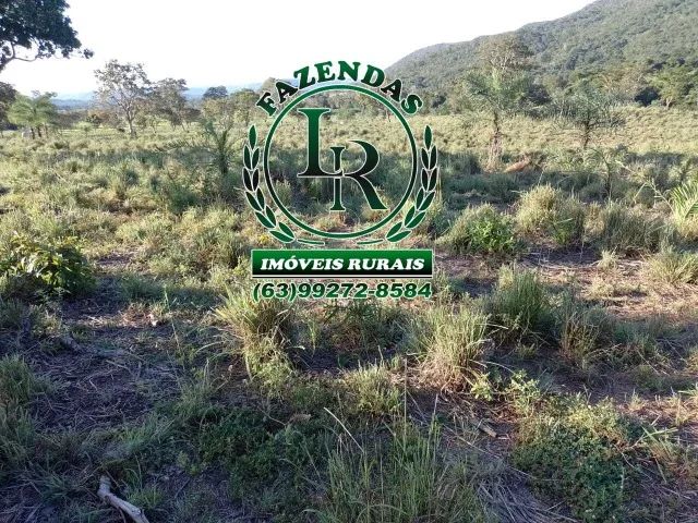 Fazenda / chácara 21,8 Alqueires  Próximo a Palmas-To - Foto 2