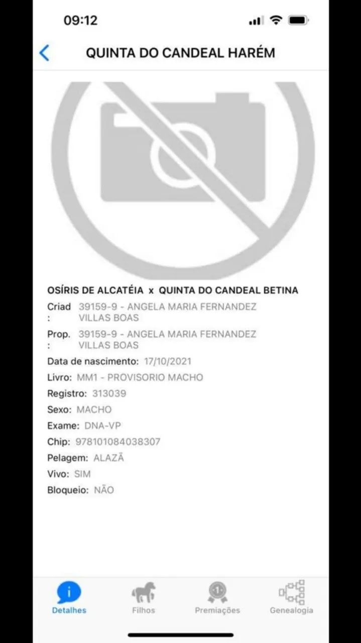 Poltro Mangalarga Marchador - Foto 2