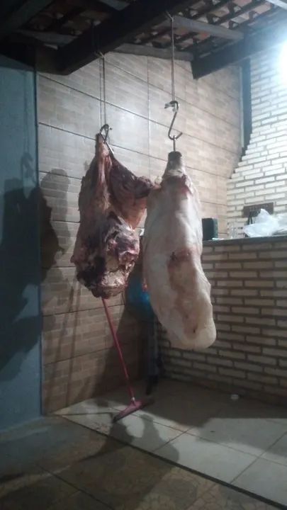 Linguiça caseira pantaneira! - Foto 6