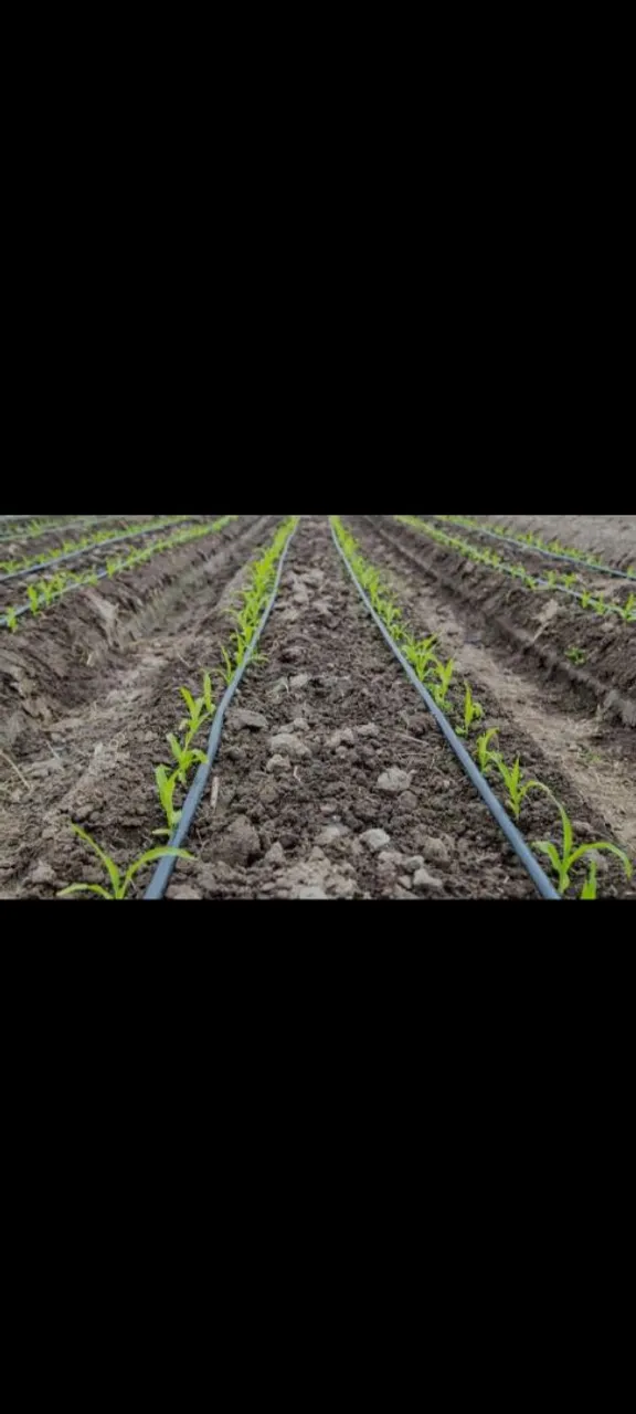 Projetos de irrigação em geral