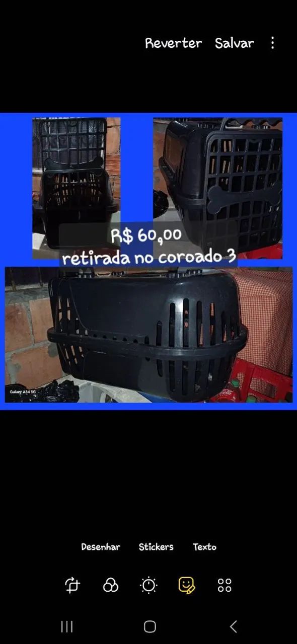 Caixa de transporte para animais