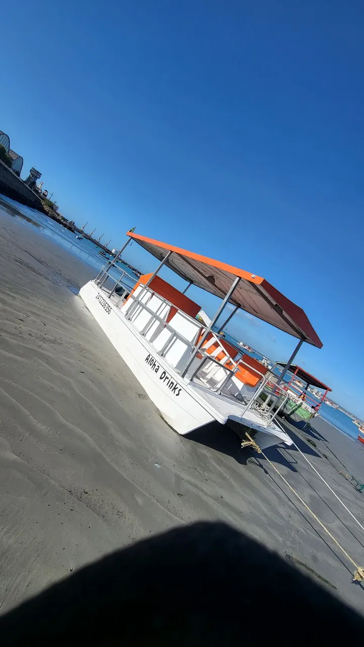 Catamarã 16 Lugares Regularizado