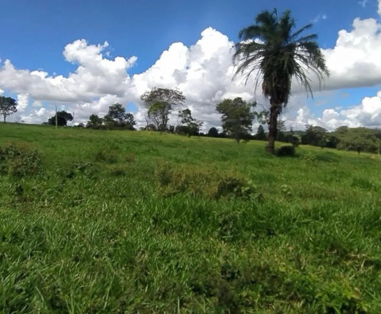 Sítio 7.9 alqueires com rio em trindade Goiás  - Foto 5