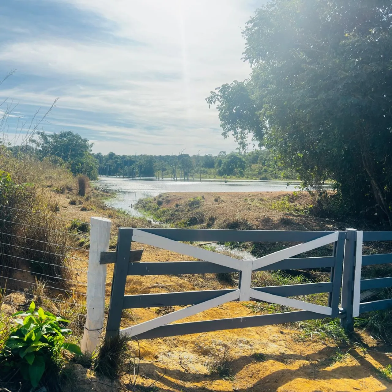 Fazenda à venda, Ótimo investimento