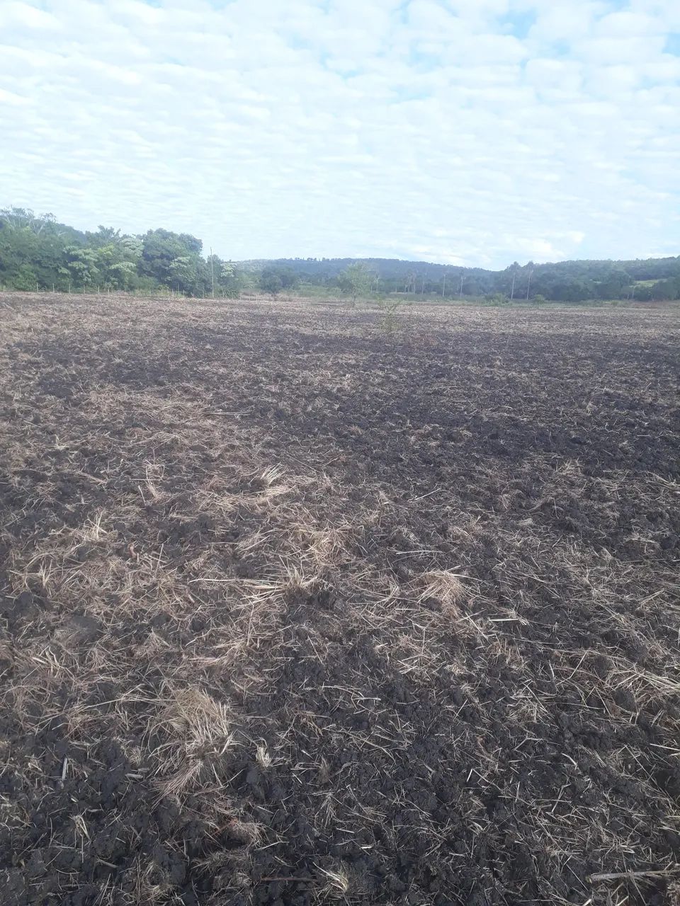 Chacara 44 hectares - Foto 2