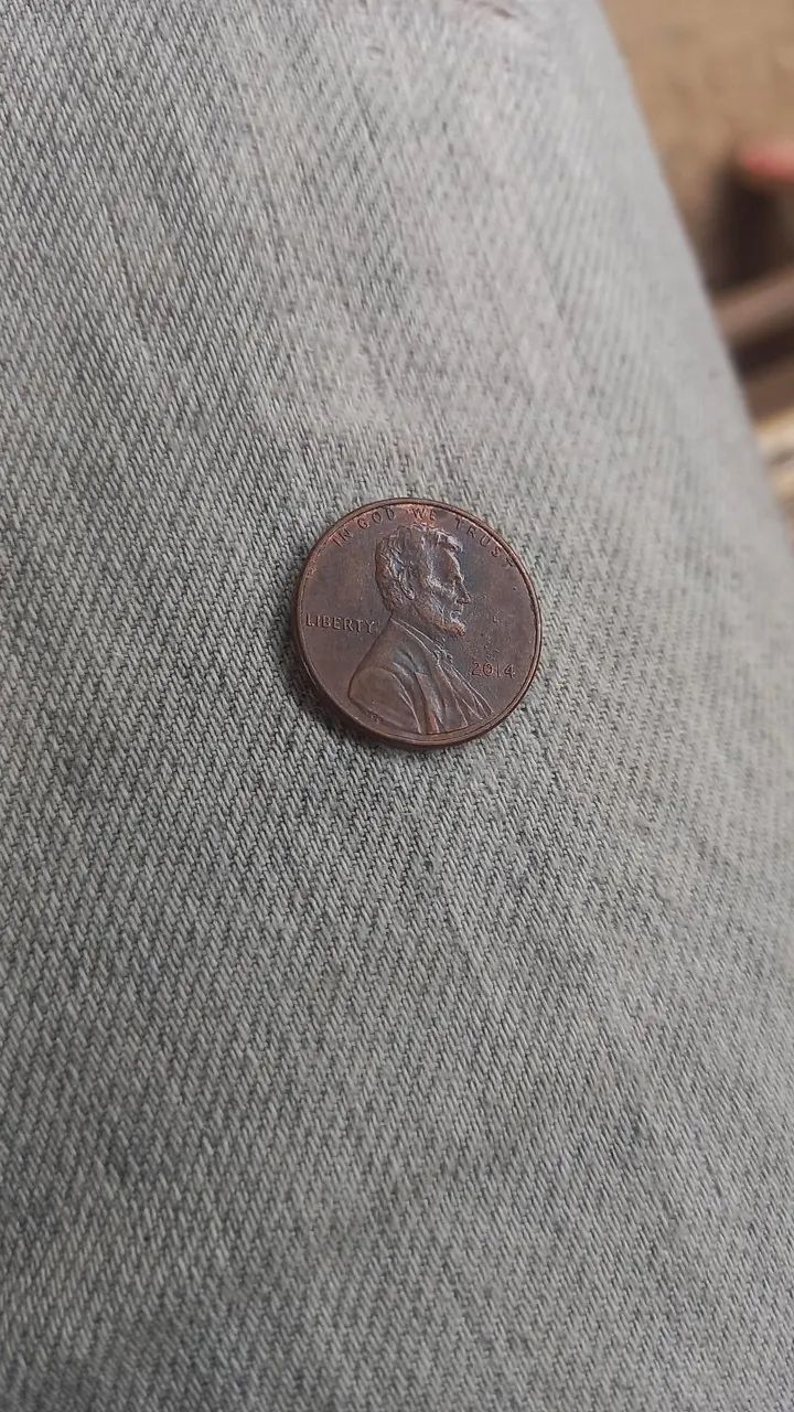 Cedulas e modas  - Foto 6