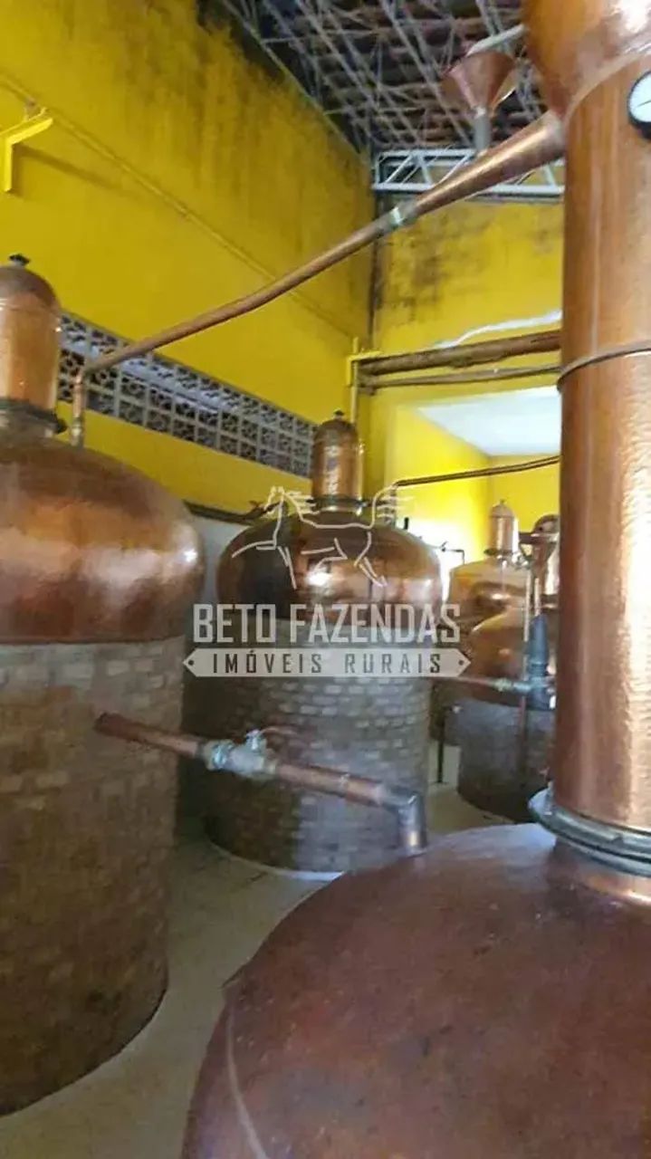 Imóvel para venda tem 28000 metros quadrados em Área Rural de Gaspar - Gaspar - SC - Foto 2