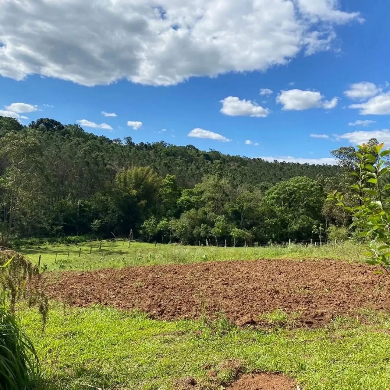 Chácara em taquara  - Foto 3