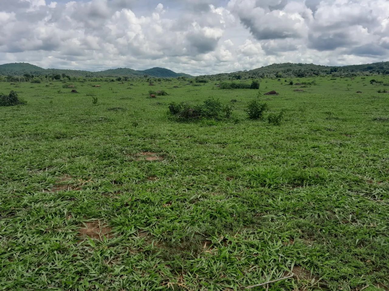 Única oportunidade de chácara no Rio dos bois Tão perto de Goiânia - Foto 3