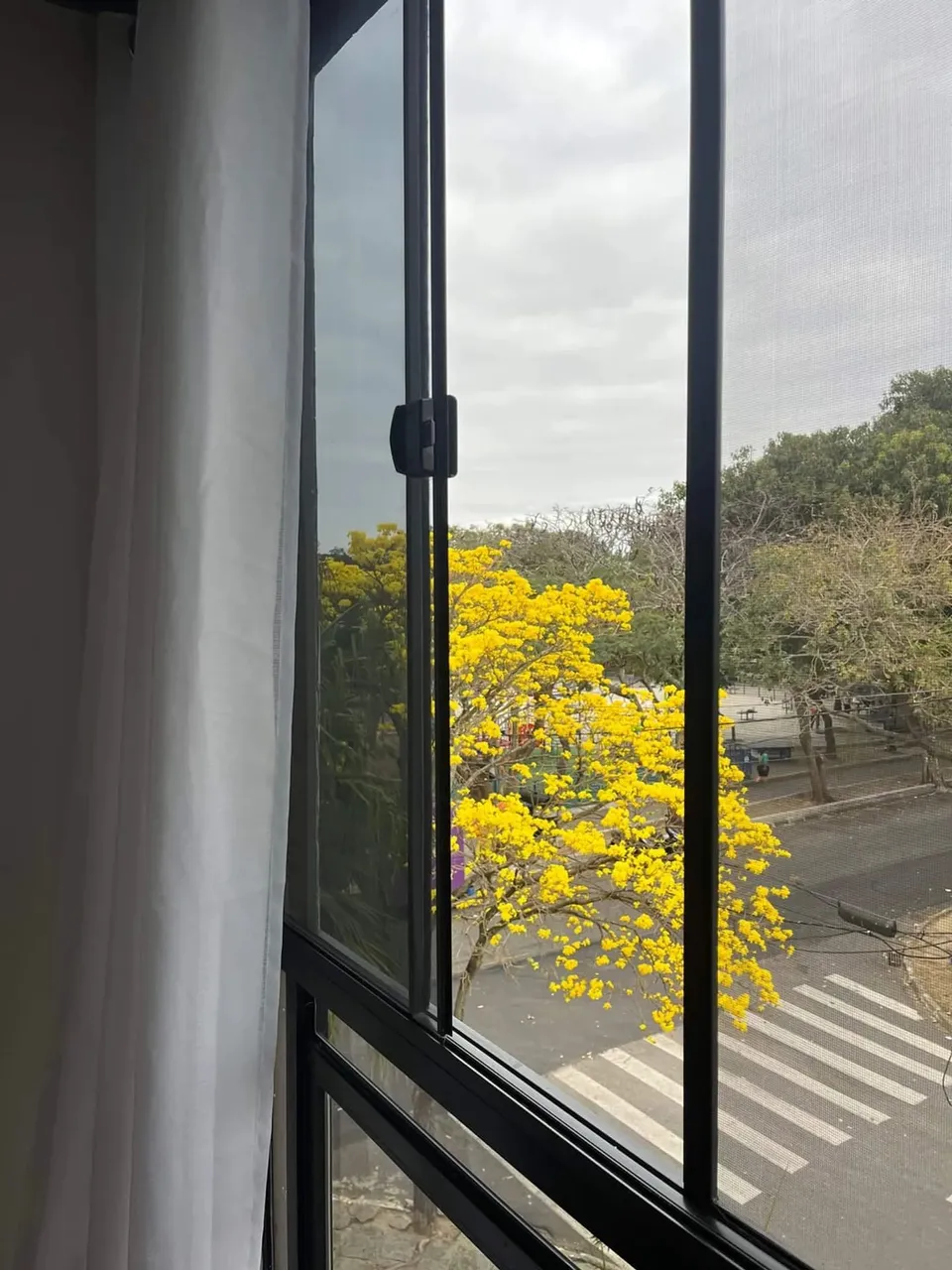 Cobertura Duplex com Piscina, para venda e locação, em Frente à Pracinha do Flamboyant Co