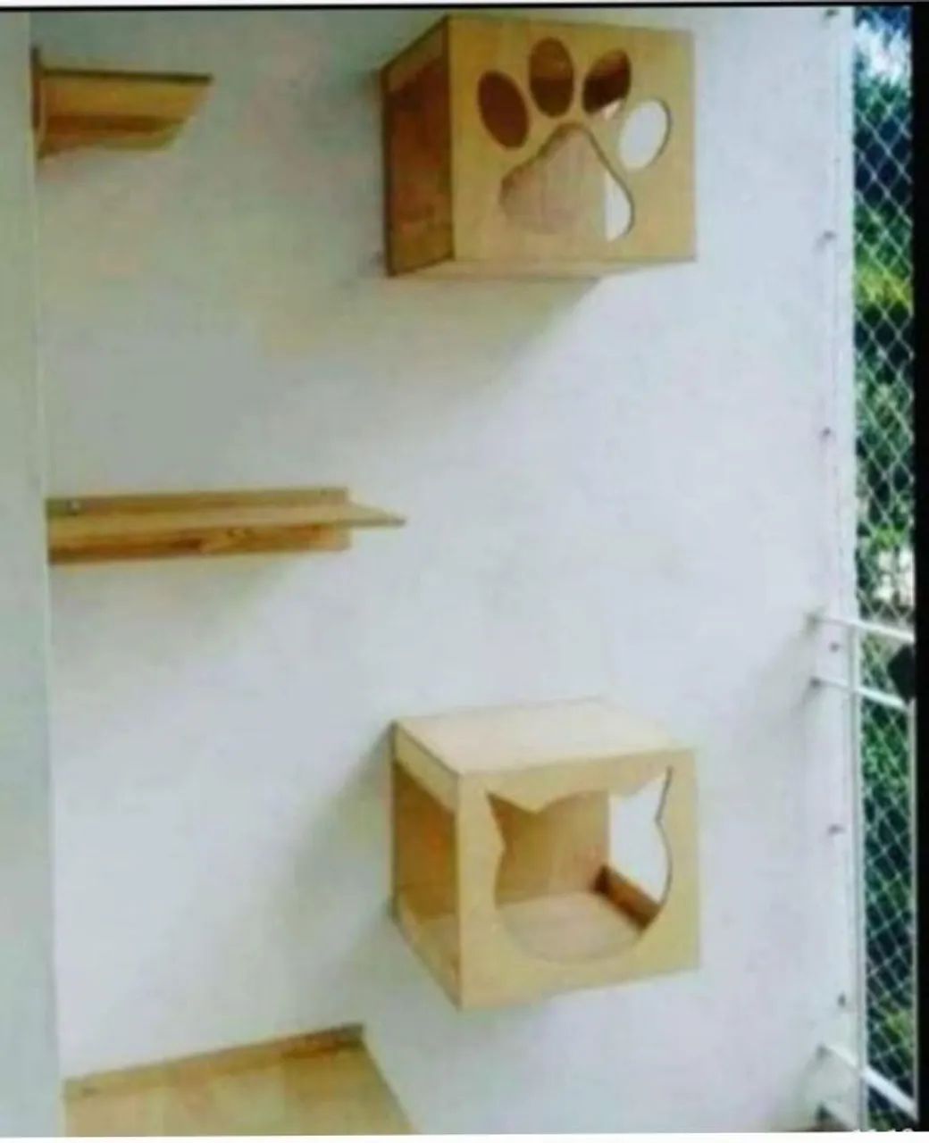 Circuito para gatos  - Foto 5