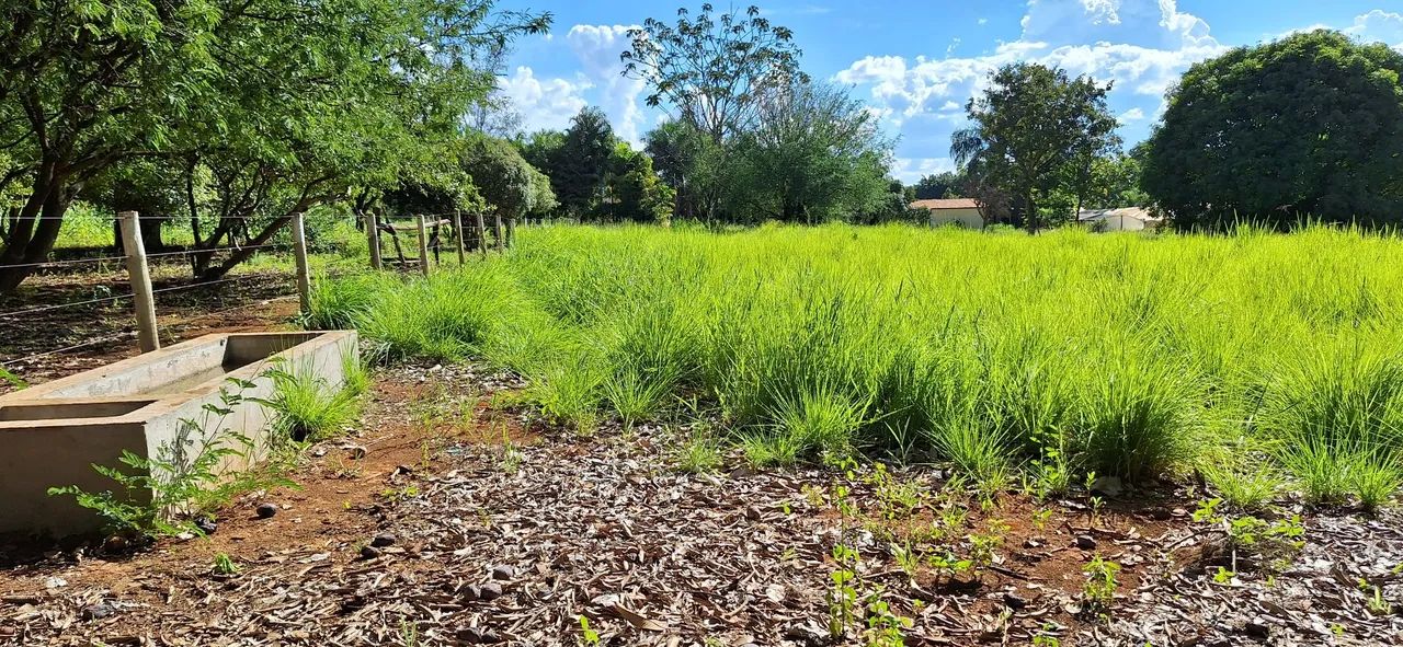 Chácara maravilhosa no Rajadinha-DF. PERTINHO DO ASFALTO . - Foto 9
