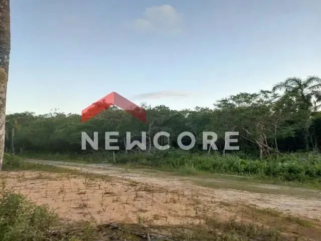 Lote em Servidão Pública - Nova Fazenda - Laguna/SC - Foto 4