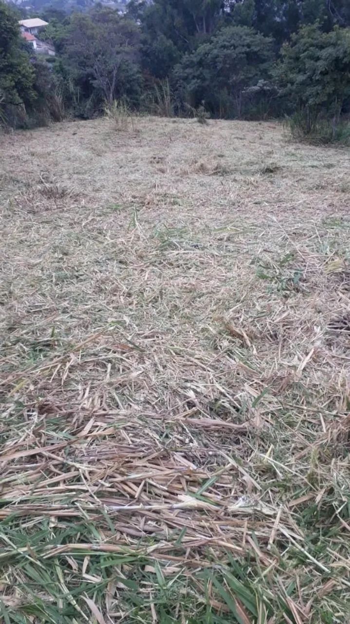 terreno - Vale Verde - Valinhos - Foto 4