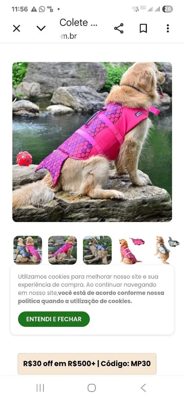 Boia para Pet - Foto 2