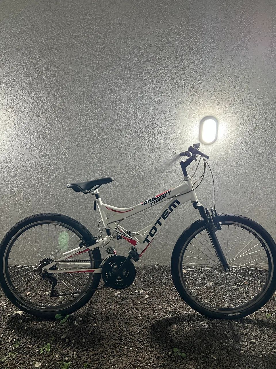 Bicicleta Totem
