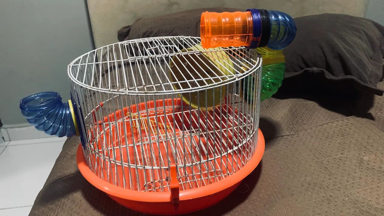 Casa de Rhamister - Foto 2