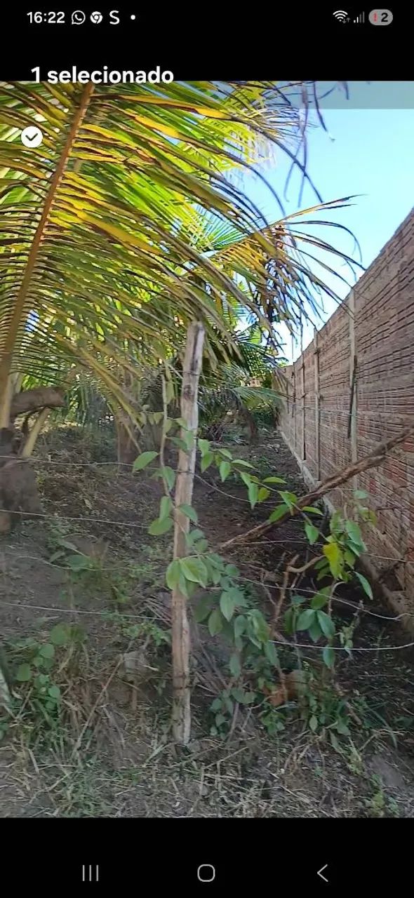 terreno em Bonito pe  - Foto 2