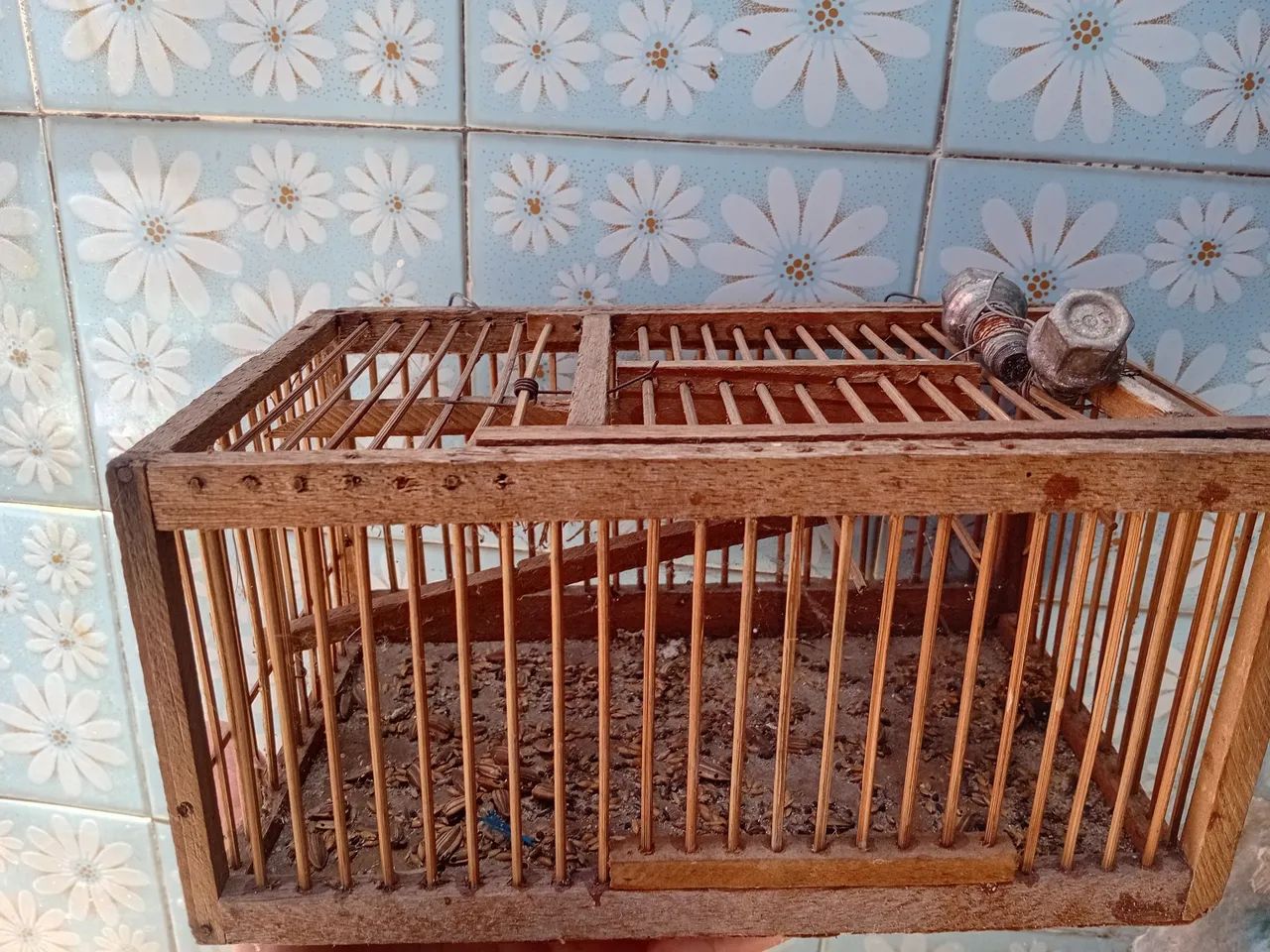 Lote com 5 açalpão por 100 reias