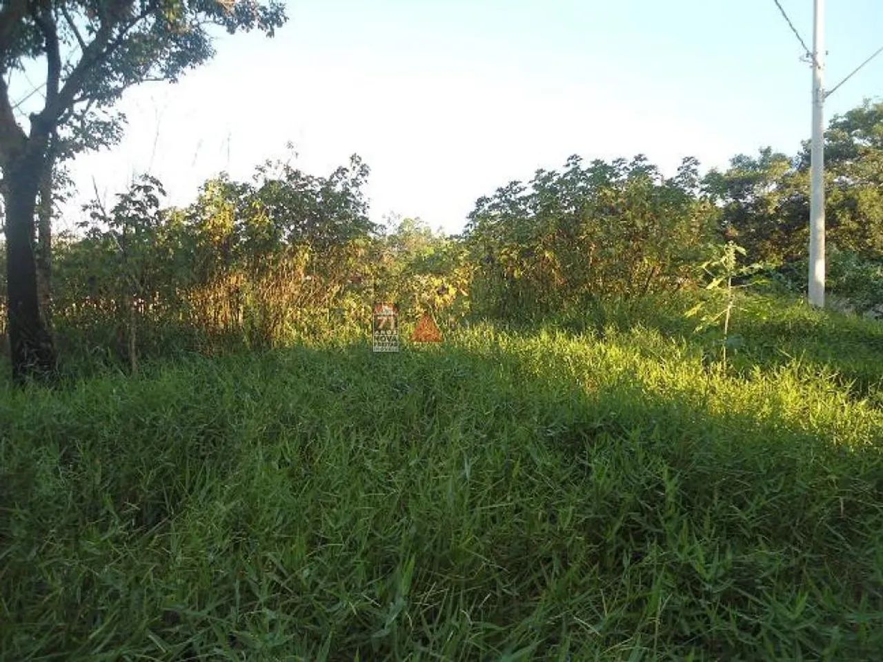 Terreno Padrão em Pindamonhangaba - Foto 3