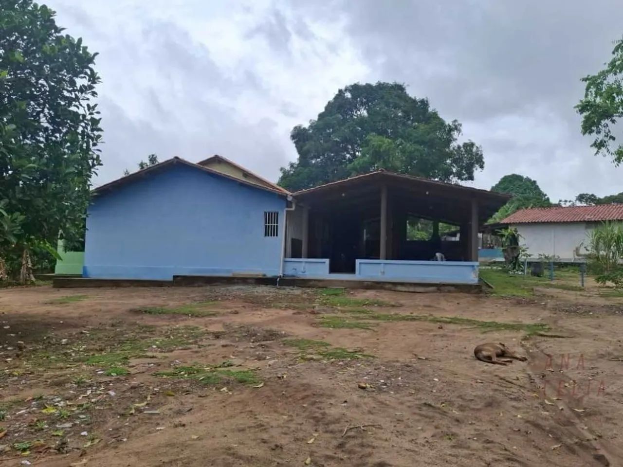 SITIO A VENDA EM MATA REDONDA/ALHANDRA - Foto 3