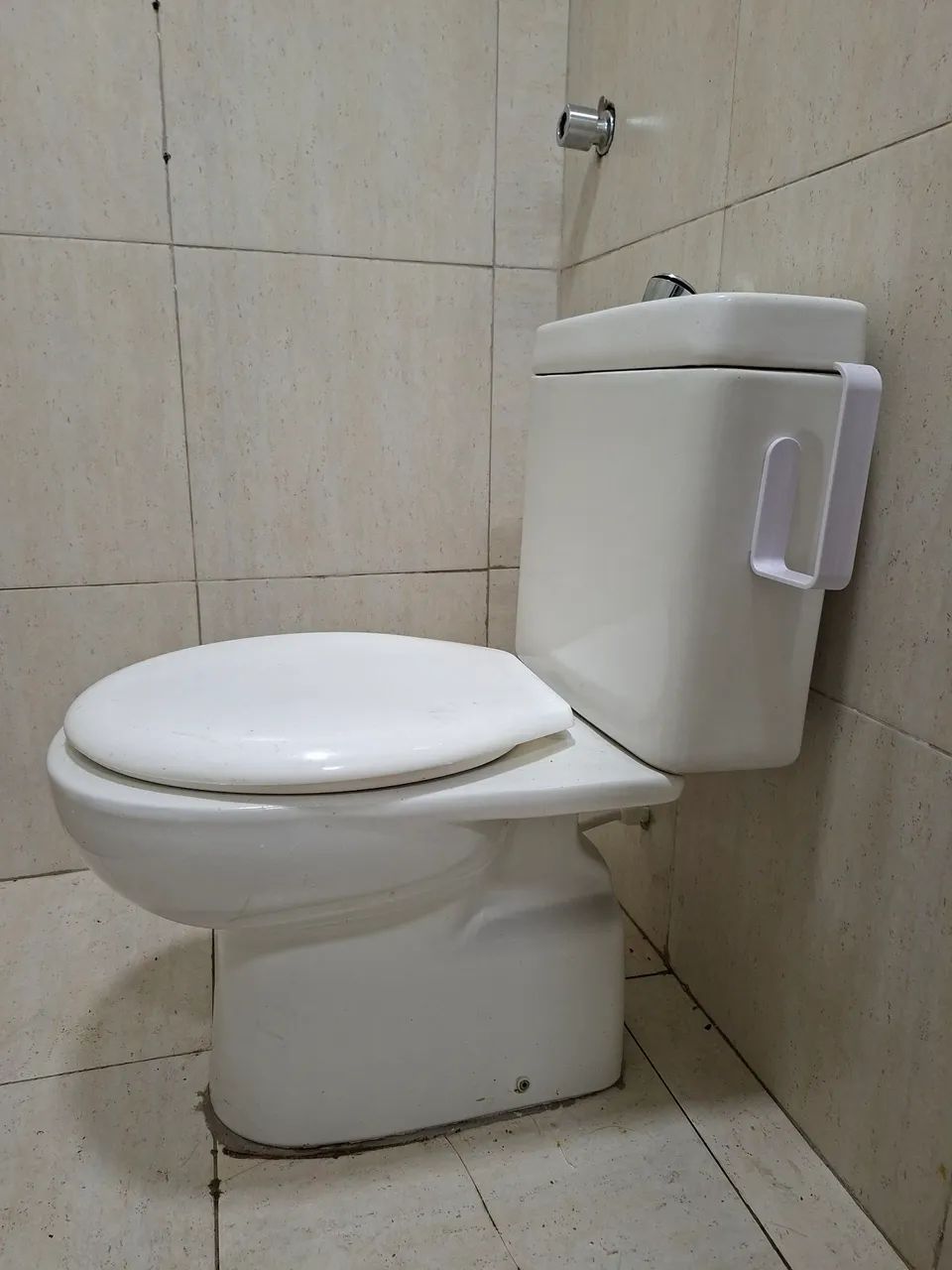 Vaso acoplado completo. 415078086566236161