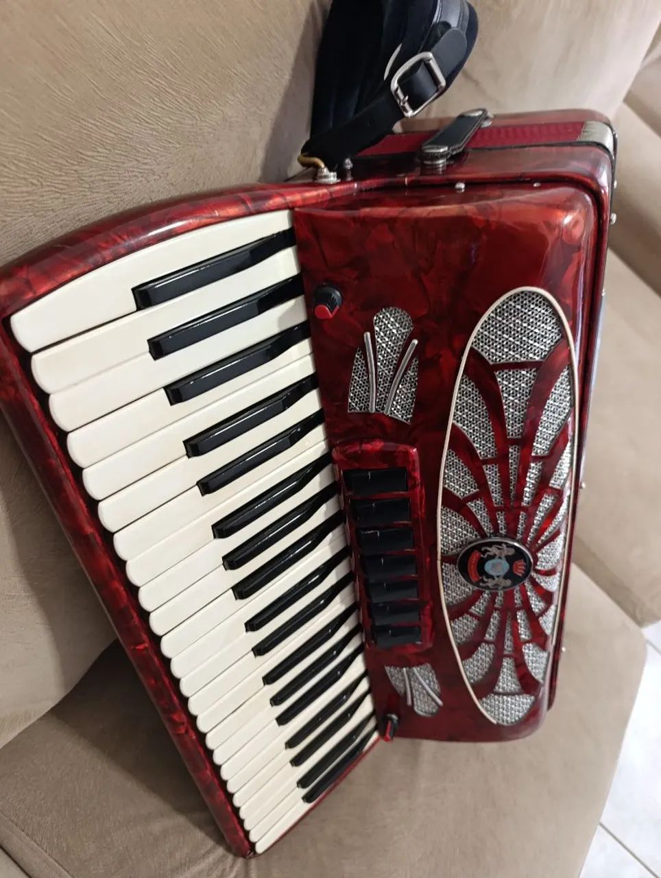 Acordeon, sanfona  - Foto 3