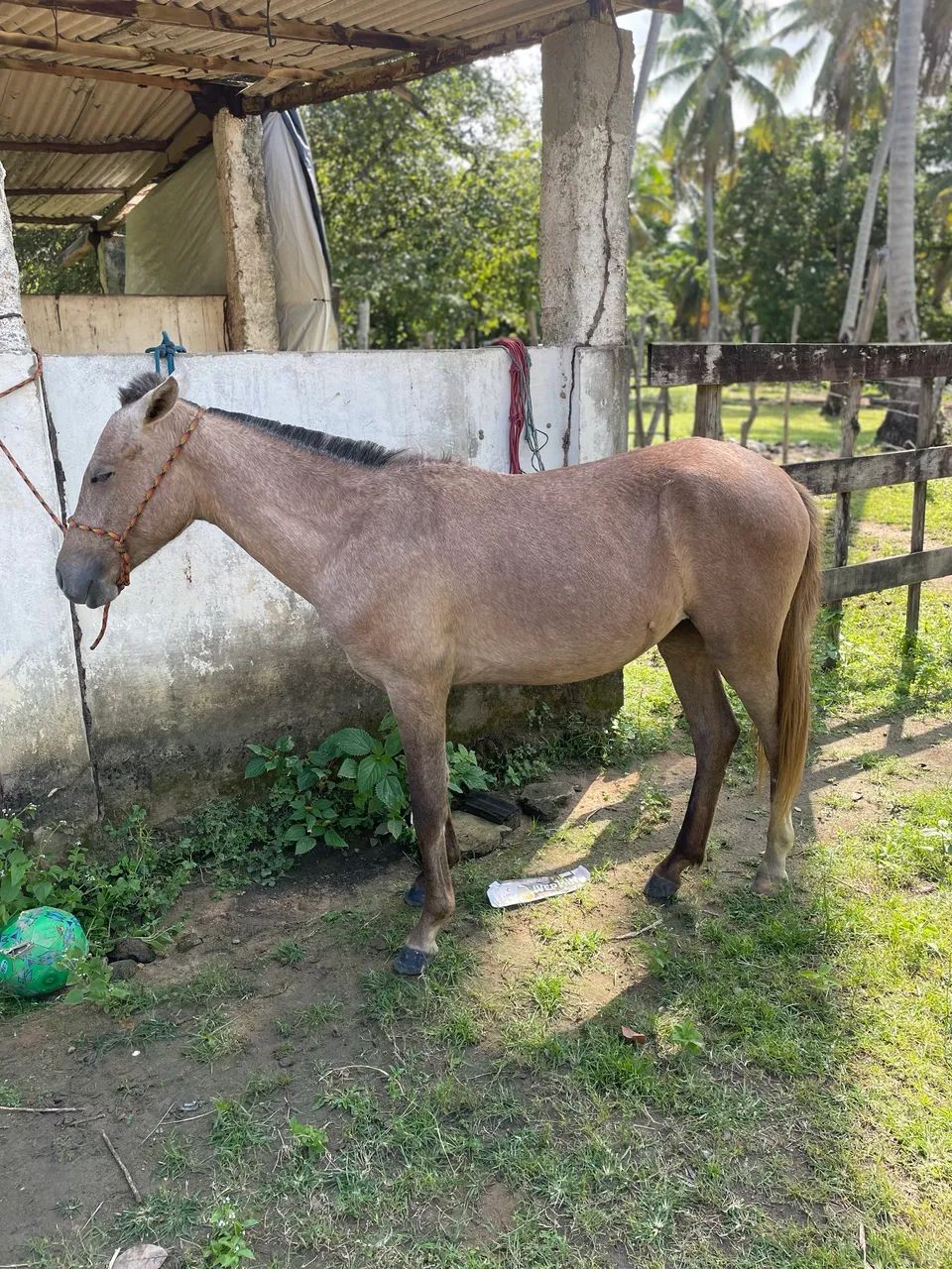Vendo e troco  - Foto 4