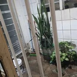 2 quartos 2 banheiros Apartamento - Foto 5