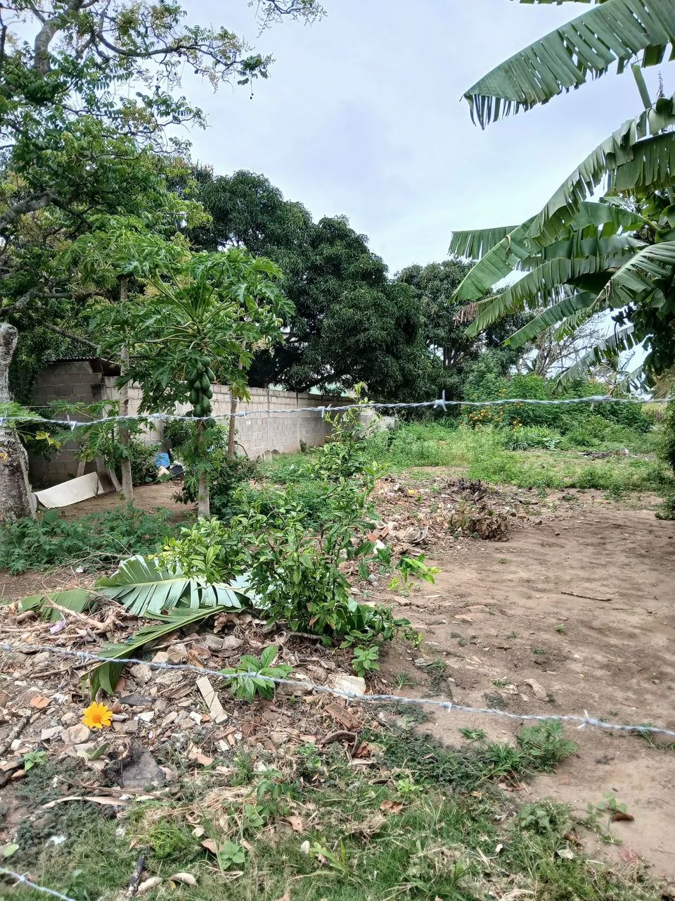 Area para construção de casas ou galpão  - Foto 3