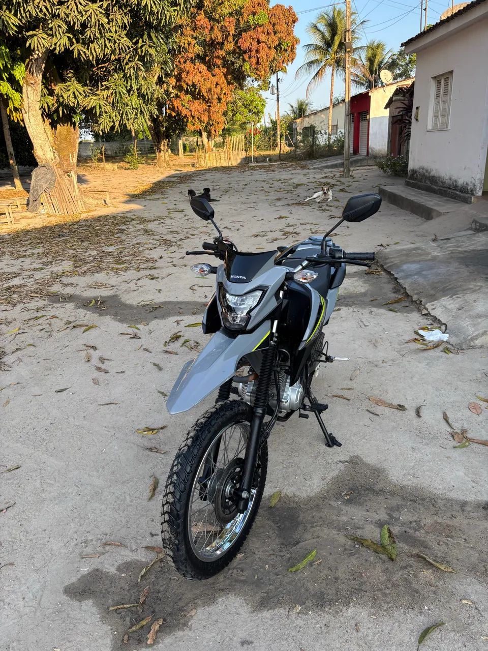 Só venda - Foto 4