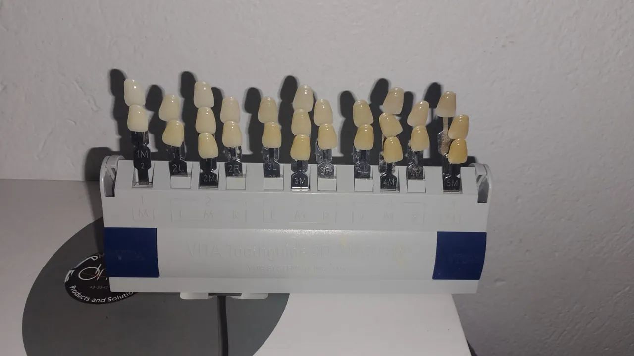 Vendo Escala Vitta