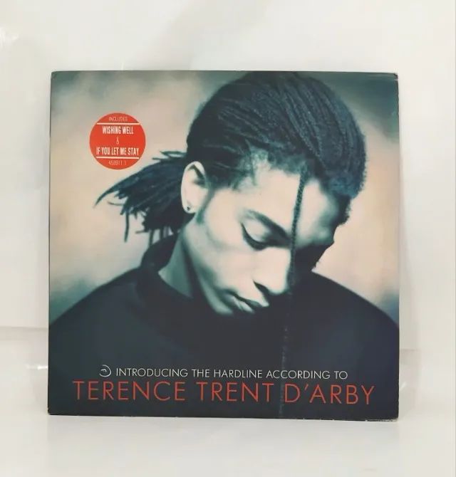 LP VINIL  -TERENCE TRENT D ARBY  THE HARDLINEACCORDING  TO- CBS RECORDS -  11 MUSICAS