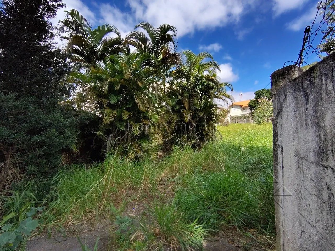 TERRENO CAMPO BELO - Foto 4