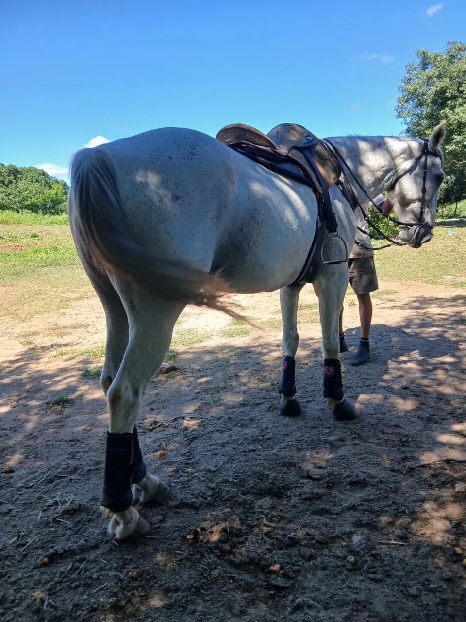 Cavalo de esquerda  - Foto 3